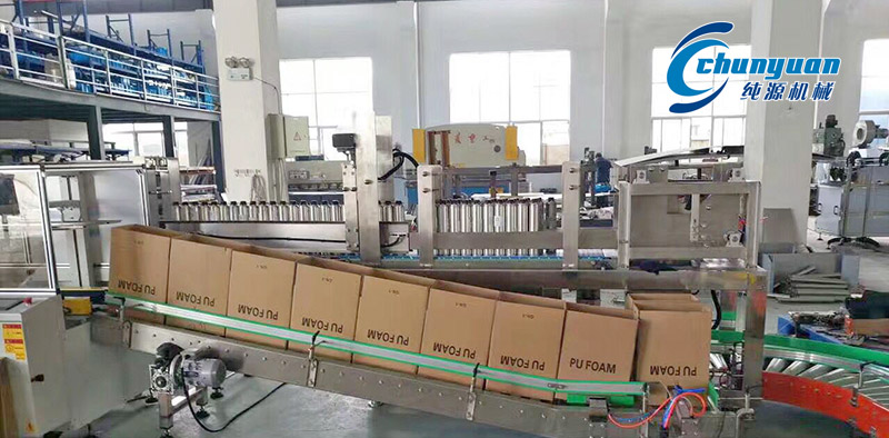 裝箱機(jī)，挑選裝箱機(jī)，純?cè)囱b箱機(jī)，純?cè)礄C(jī)械